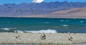 Kailash parvat lake