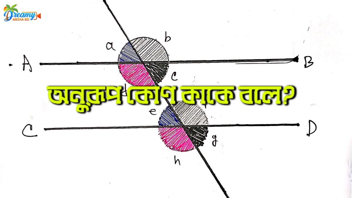 অনুরূপ কোণ কাকে বলে