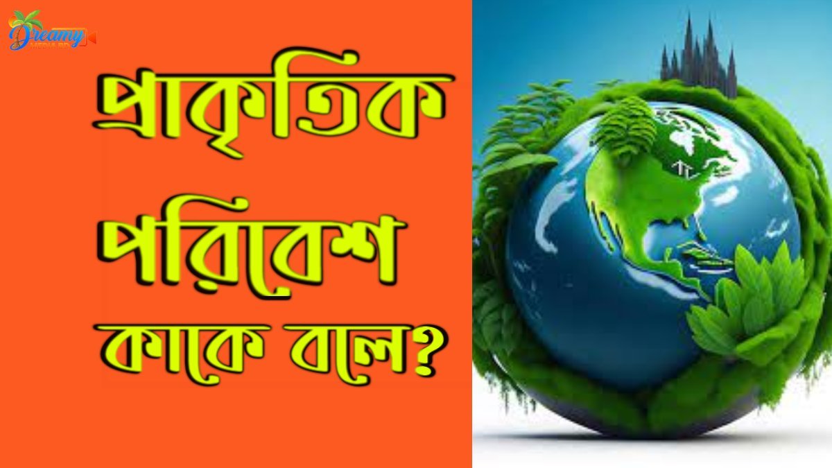 প্রাকৃতিক পরিবেশ কাকে বলে