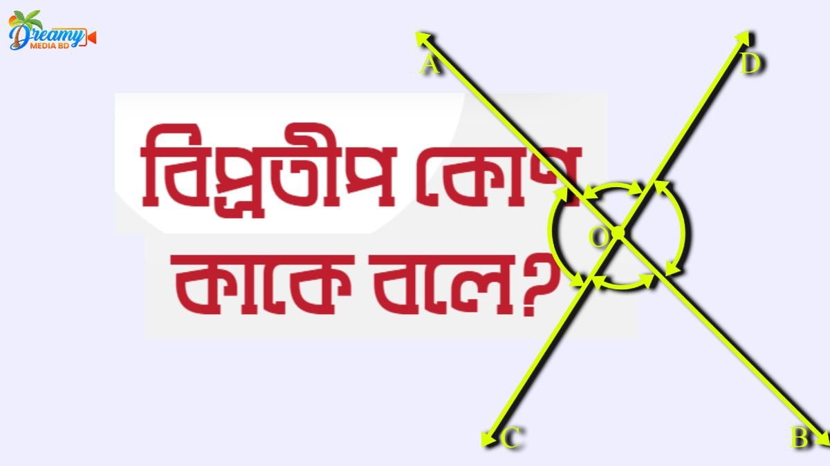 বিপ্রতীপ কোণ কাকে বলে