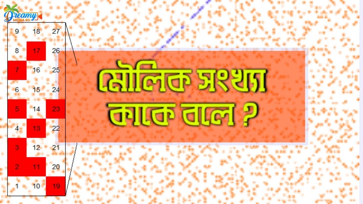 মৌলিক সংখ্যা কাকে বলে