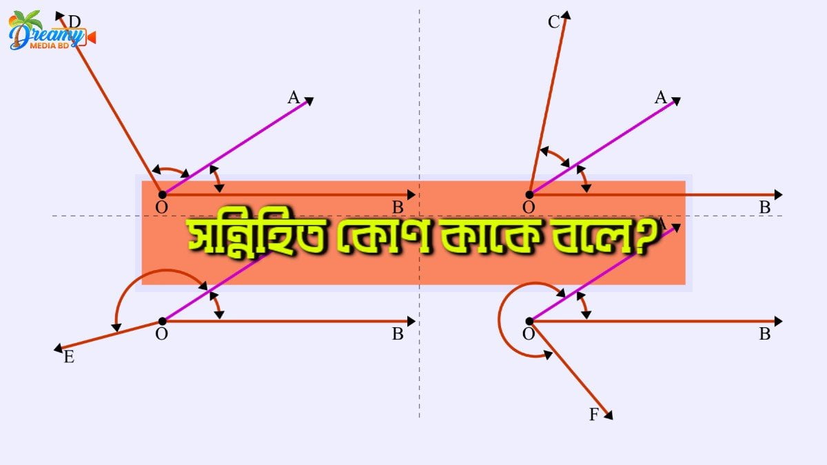 সন্নিহিত কোণ কাকে বলে?
