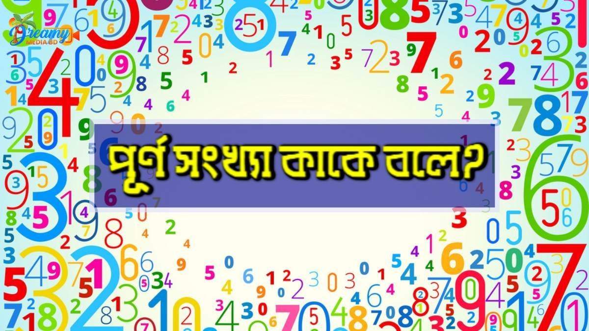 পূর্ণ সংখ্যা কাকে বলে