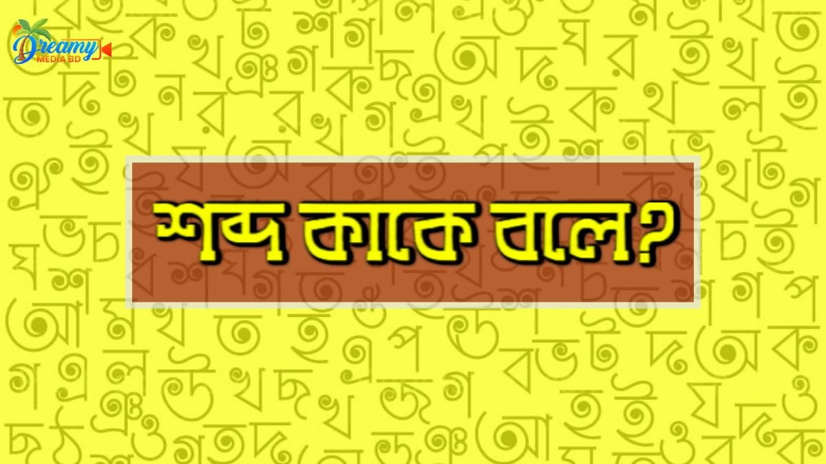 শব্দ কাকে বলে