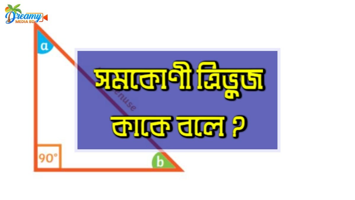 সমকোণী ত্রিভুজ কাকে বলে