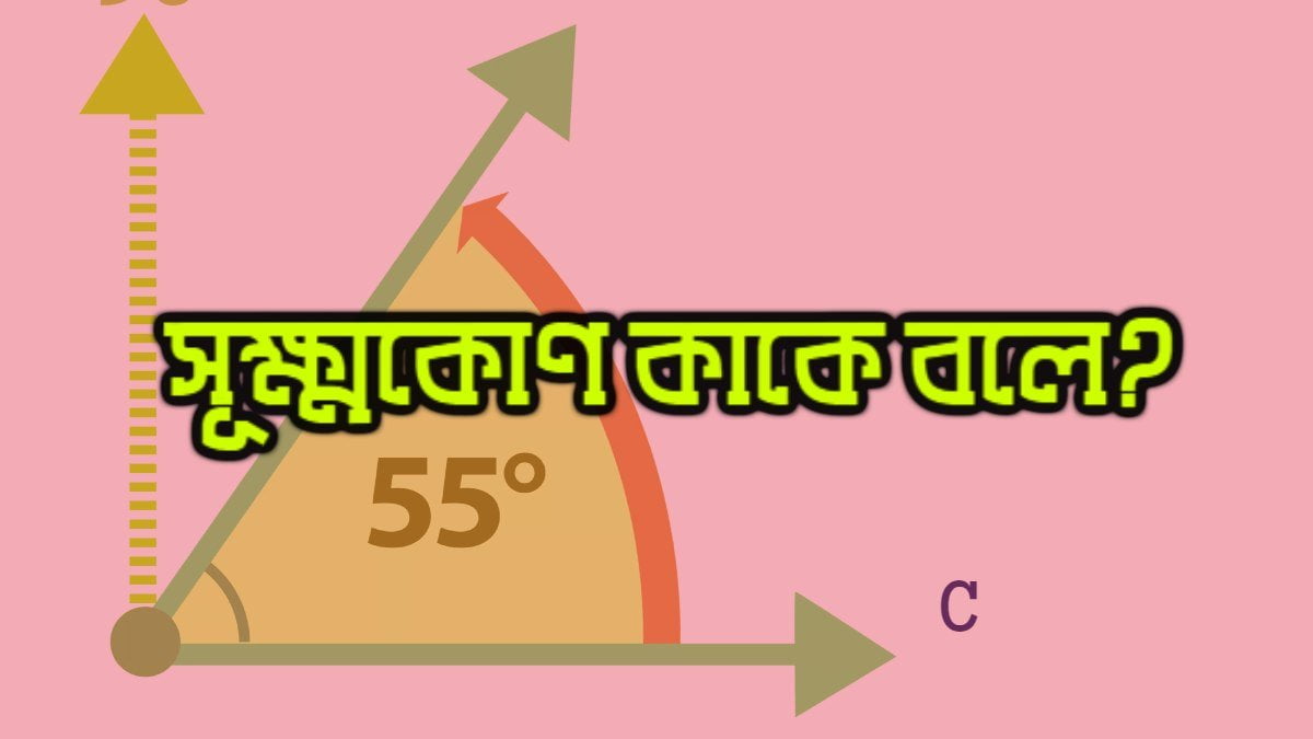 সূক্ষ্মকোণ কাকে বলে