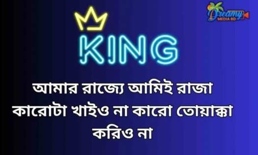 সেরা বাংলা ক্যাপশন। Best fb caption bangla | caption for Facebook
