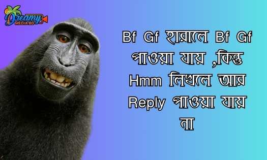 Funny status Bangla 2024
