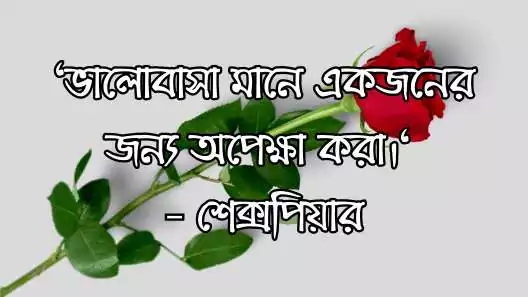 ভালোবাসা নিয়ে উক্তি