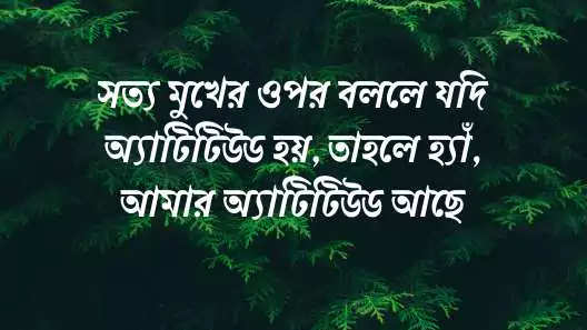 স্টাইলিশ ফেসবুক স্ট্যাটাস