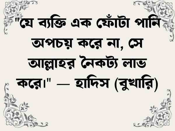 প্রকৃতি নিয়ে উক্তি